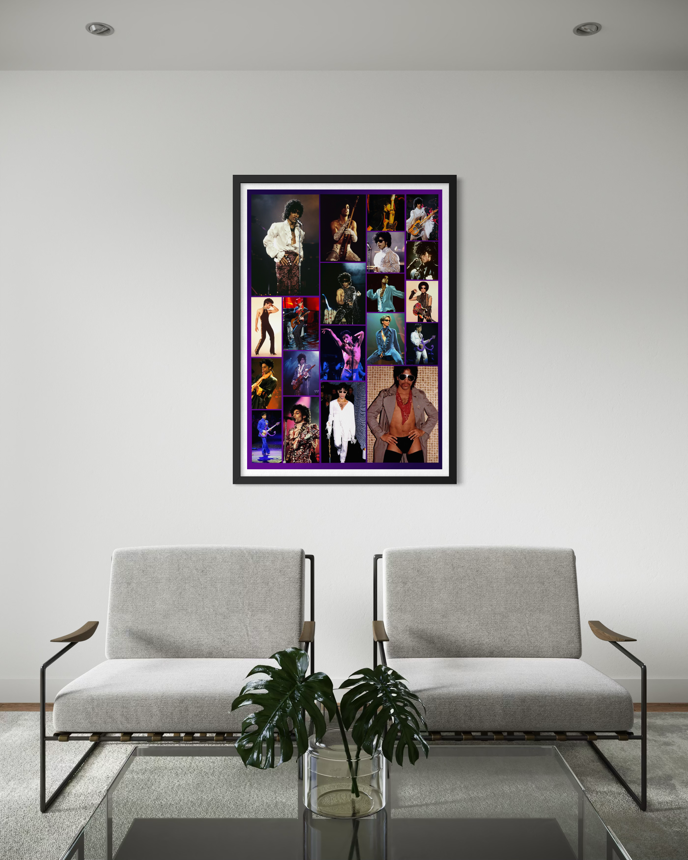 Prince - Colour